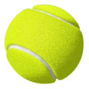 Теннис для взрослых в Астане